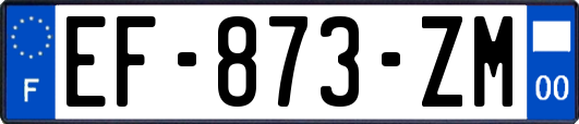 EF-873-ZM