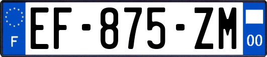 EF-875-ZM