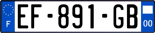 EF-891-GB