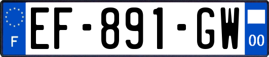 EF-891-GW