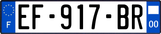 EF-917-BR