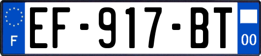 EF-917-BT
