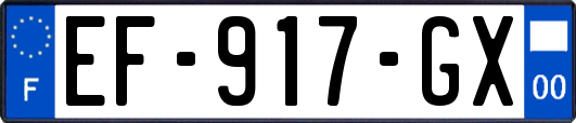 EF-917-GX