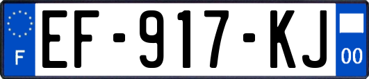 EF-917-KJ
