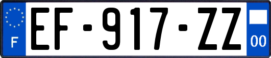 EF-917-ZZ
