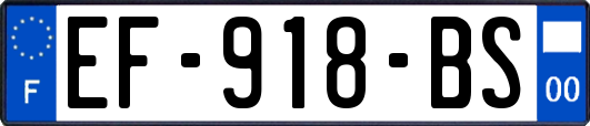 EF-918-BS