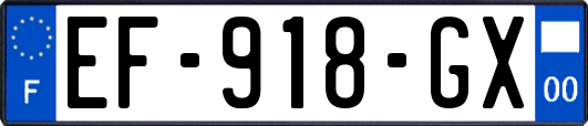 EF-918-GX