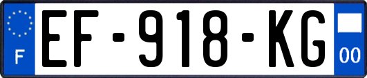 EF-918-KG