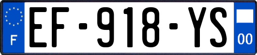 EF-918-YS