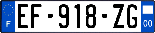 EF-918-ZG