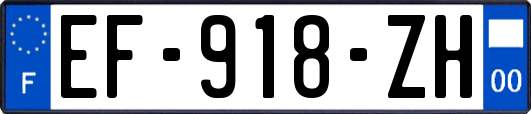 EF-918-ZH