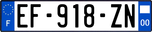 EF-918-ZN