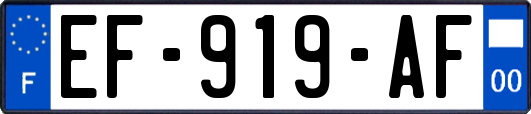 EF-919-AF