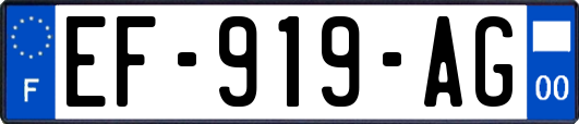 EF-919-AG