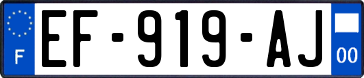 EF-919-AJ