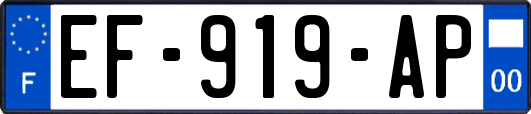 EF-919-AP