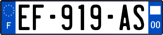 EF-919-AS