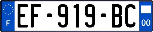 EF-919-BC