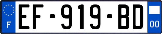 EF-919-BD