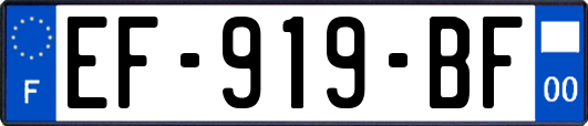 EF-919-BF