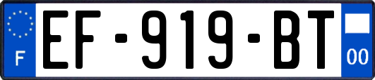 EF-919-BT
