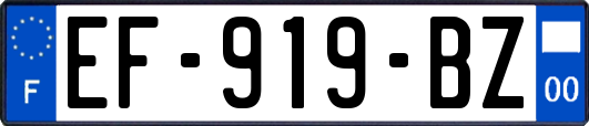 EF-919-BZ