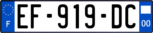 EF-919-DC