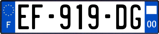 EF-919-DG