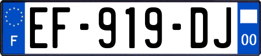 EF-919-DJ