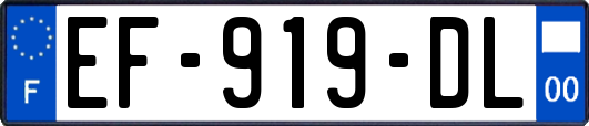 EF-919-DL