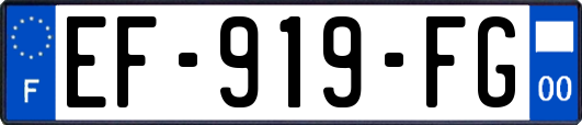 EF-919-FG