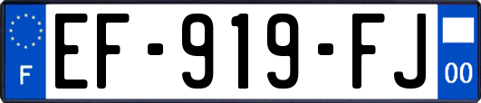 EF-919-FJ