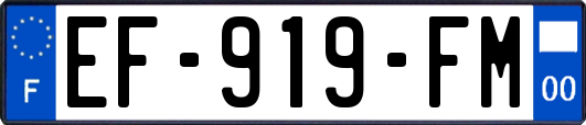 EF-919-FM