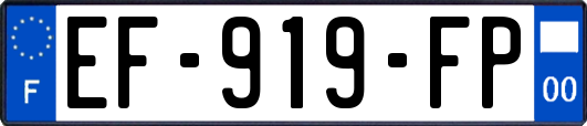 EF-919-FP