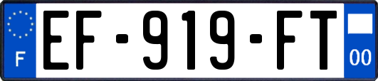 EF-919-FT