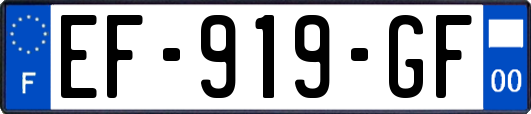 EF-919-GF
