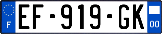 EF-919-GK