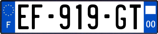 EF-919-GT