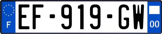 EF-919-GW