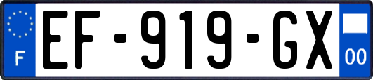 EF-919-GX