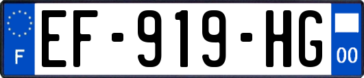 EF-919-HG