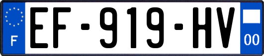 EF-919-HV