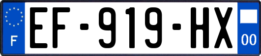 EF-919-HX