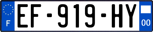 EF-919-HY
