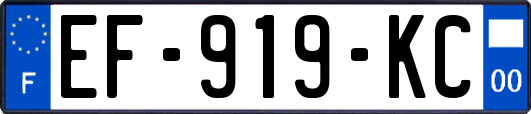 EF-919-KC