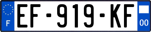 EF-919-KF