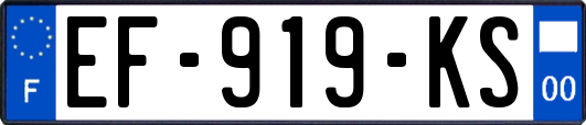 EF-919-KS