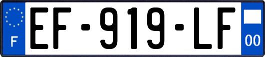EF-919-LF