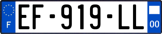 EF-919-LL