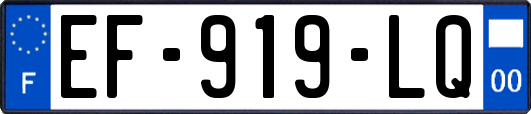 EF-919-LQ